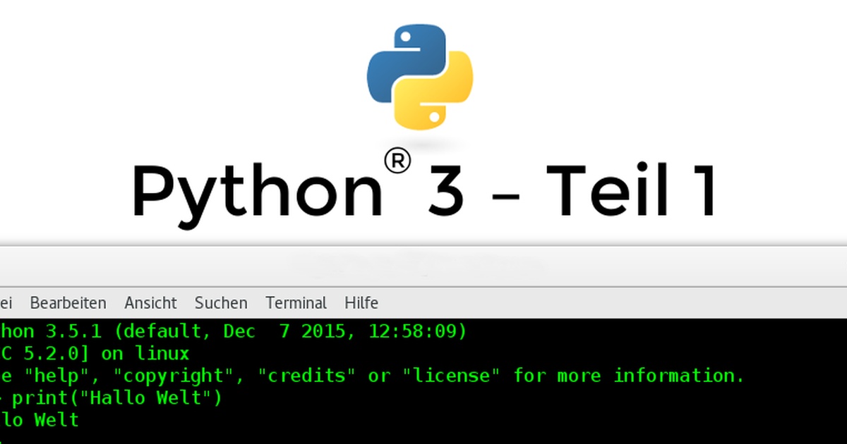 Python 3 - Nur eine Schlange? - Teil 1 - Viktors Blog